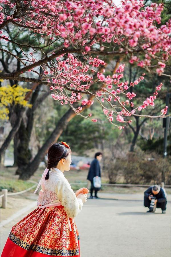 韓服 IS 免費 PASS 租著韓服慳入場費